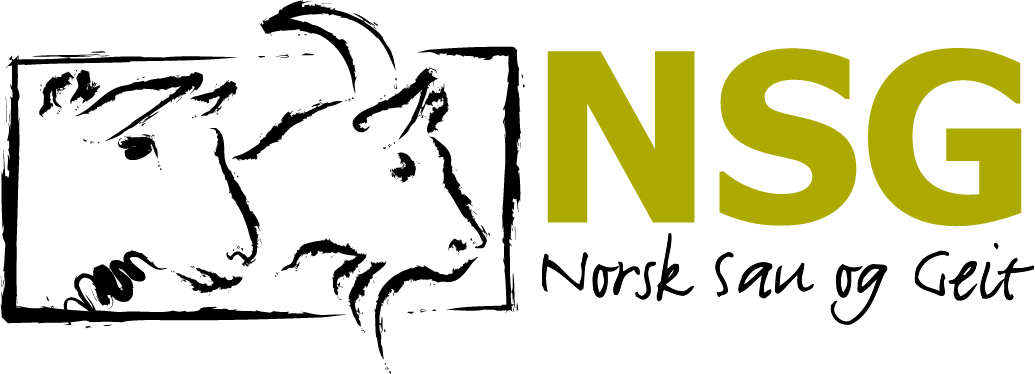 NSG Logo